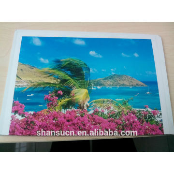 PVC foam board with laminate and printing